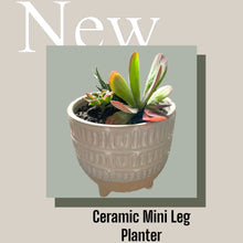 Load image into Gallery viewer, Mini Leg Planter
