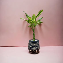 Load image into Gallery viewer, Bamba Pot with Houseplant included
