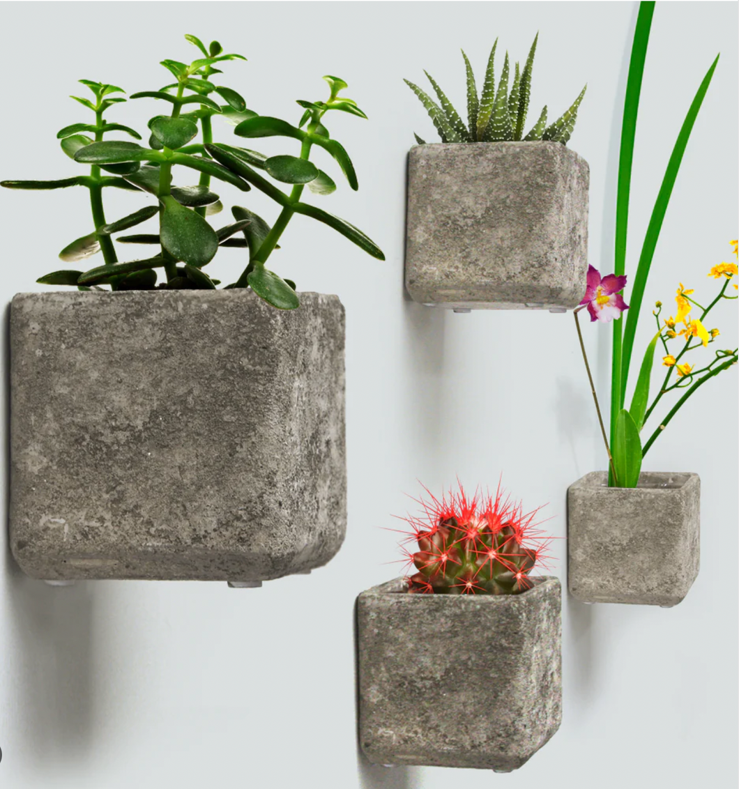 Wall Hanging Concrete Planter (with Liner)